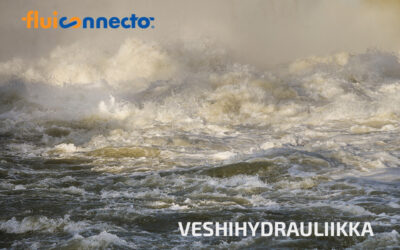 The Emerging Field of Water Hydraulics