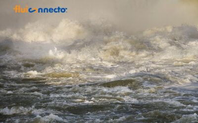 The Emerging Field of Water Hydraulics