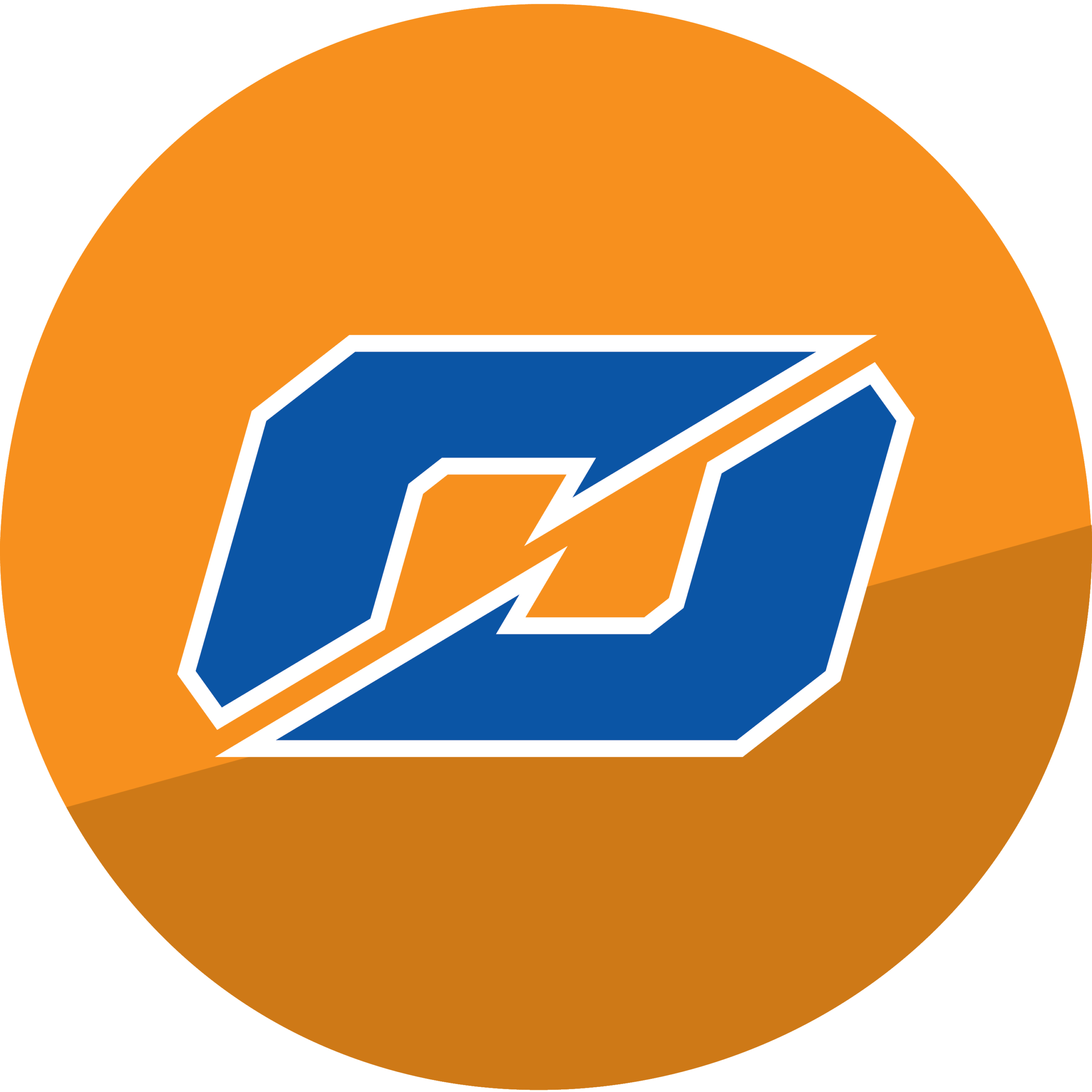 Service Icon_OEM